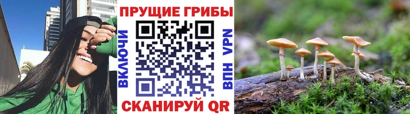 Галлюциногенные грибы прущие грибы  Благодарный 